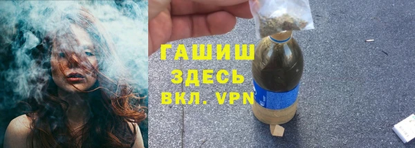 сатива Алзамай