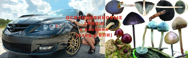 кокаин Алексеевка